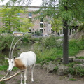 DSC00930